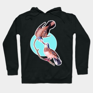 Pecking birds Hoodie